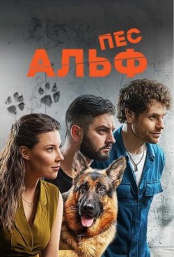 Пёс Альф 1 сезон