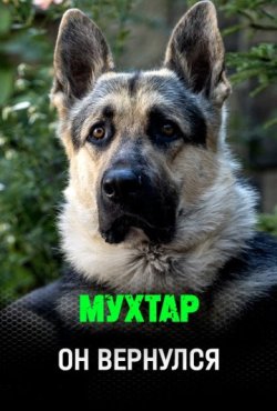 Мухтар. Он вернулся 1 сезон